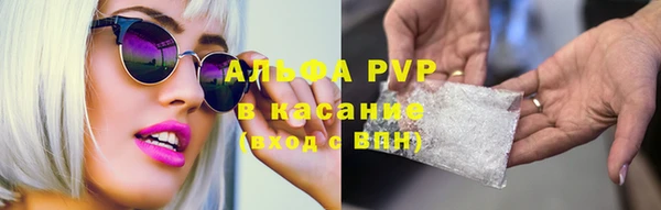 крисы Алзамай