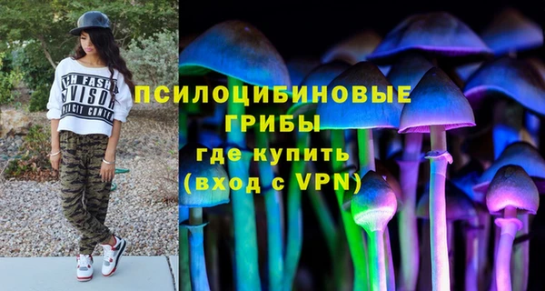 крисы Алзамай
