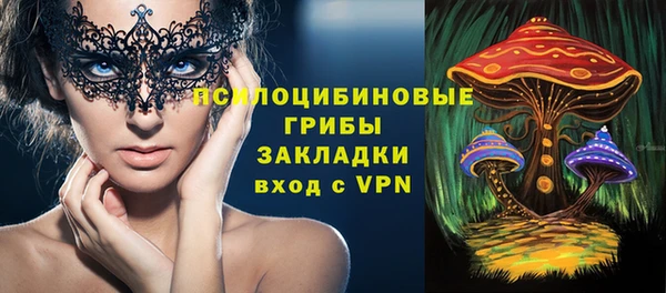 крисы Алзамай