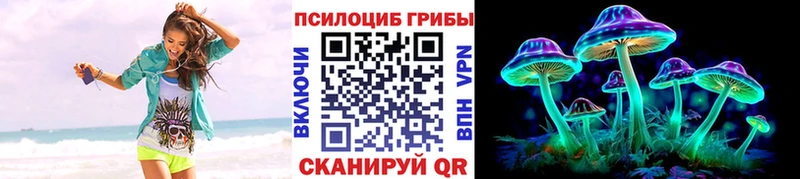 mega ONION  Богучар  Галлюциногенные грибы Psilocybe 